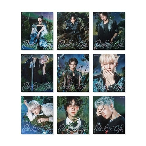 &TEAM Back to Life ROAR Ver. member edition