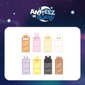 ATEEZ WALL POCKET K-pop merchandise