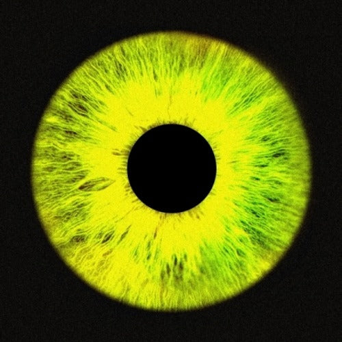 NO:EL - [23'F/W] (4TH MINI ALBUM) - K-pop product