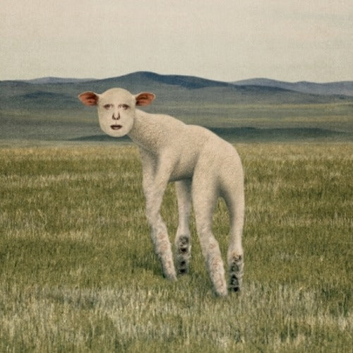 THORNAPPLE - ANIMAL (EP) - K-pop product