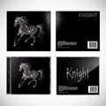 GEMINI - KNIGHT
