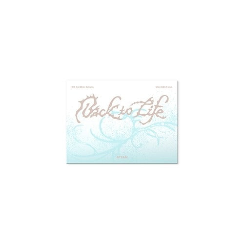 &TEAM Back to Life Photocard Box Mini CD-R Ver.