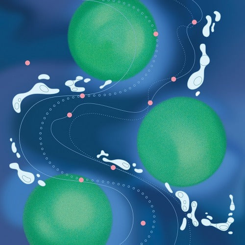 AVAD - ARCHIPELAGO - Standard