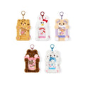 ILLIT DEARLIT - PHOTOCARD HOLDER K-pop merchandise