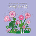 MINT PAPER PRESENTS - MINT PAPER PRESENTS : BRIGHT #13 - K-pop product