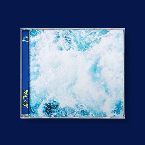 SWELL CITY - TO THE SEA (Photobook)