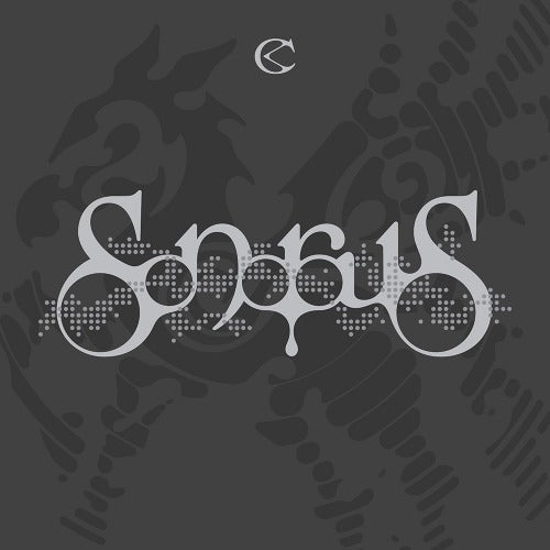 CRAVITY EP SONOROUS MUSE VER. K-pop album