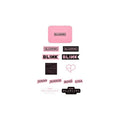BLACKPINK DEADLINE TOUR Tin Case + Sticker Set