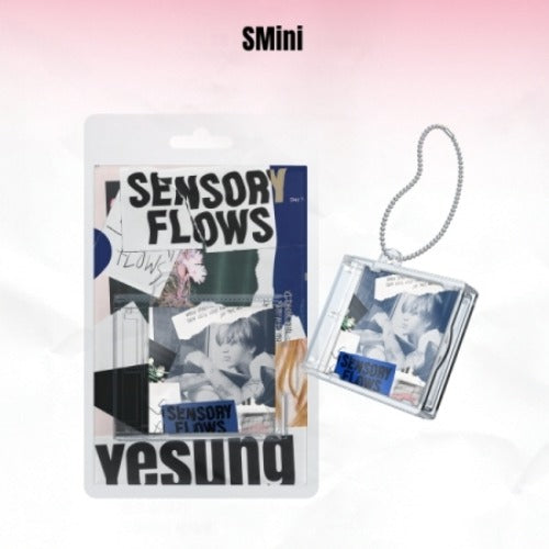 YESUNG - VOL.1 [SENSORY FLOWS] (SMINI VER.) - K-pop product