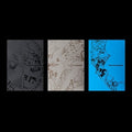 ENHYPEN THE SIN : VANISH K-pop album